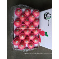Heißer Verkauf frischer roter Fuji-Apfel